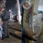 Vídeo: mulher simula pedido de pizza no 190 para escapar de agressor em SP