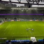 Horário e onde assistir ao vivo Palmeiras x Cerro Porteño, pela Libertadores