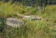 Falta d'água em BH: tubulação onde égua caiu é tampada