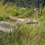 Falta d'água em BH: tubulação onde égua caiu é tampada