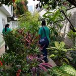 Começa levantamento do segundo LIRAa de 2026 com mais de 100 agentes nas ruas em Ipatinga