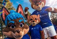 Cruzeiro apresenta Cabulosa, nova mascote do futebol feminino; veja