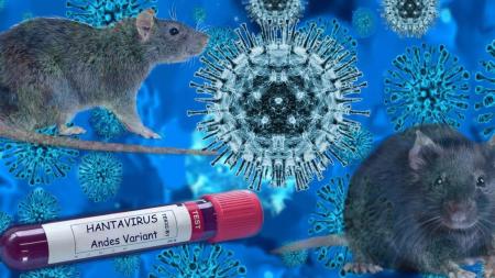 HANTAVIRUS