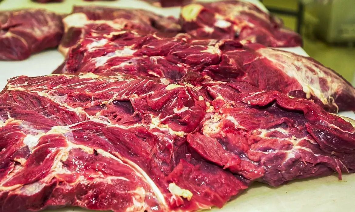 Veto da UE à carne ameaça exportações de US$ 82,2 milhões em Minas Gerais