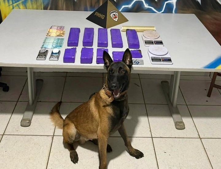 Após denúncia, 10 quilos de maconha são apreendidos e pai e filho conduzidos em Ipatinga