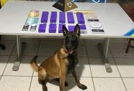 Após denúncia, 10 quilos de maconha são apreendidos e pai e filho conduzidos em Ipatinga