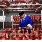 Além da China, Coreia e União Europeia podem desequilibrar o mercado da carne bovina
