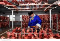 Além da China, Coreia e União Europeia podem desequilibrar o mercado da carne bovina