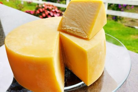 Maior festival de queijo artesanal de Minas reúne 13 regiões em BH; confira
