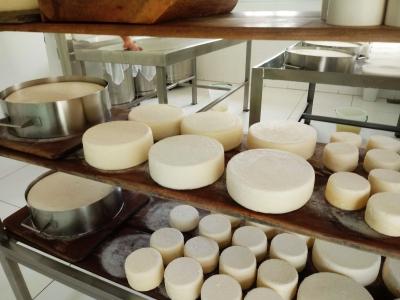 Em sua 8ª edição, o Festival do Queijo Artesanal de Minas celebra a valorização do setor desde o tradicional Serro ao estreante Vale do Suaçuí • Divulgação FQAM