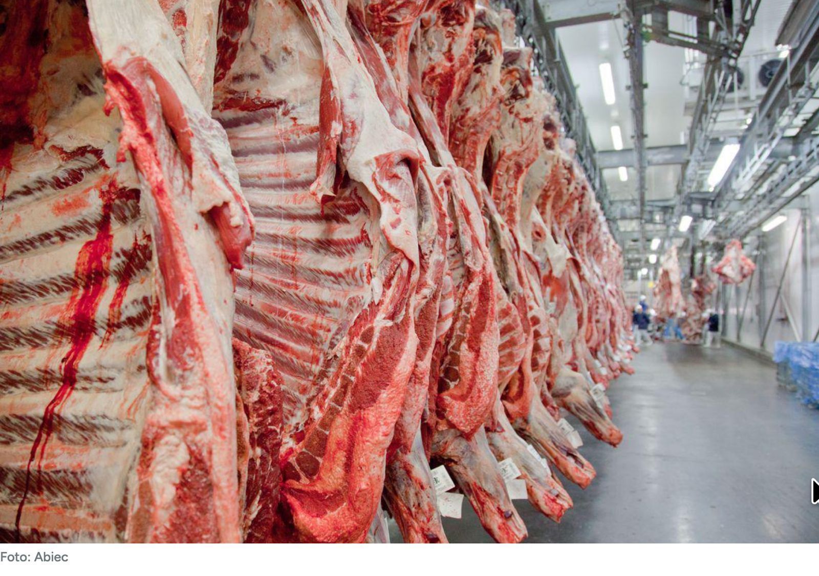 Carne bovina brasileira na Europa virou 'prego na botina' do governo