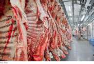 Carne bovina brasileira na Europa virou 'prego na botina' do governo