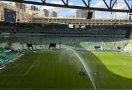 Palmeiras x Chapecoense: veja escalações do jogo válido pelo Brasileiro