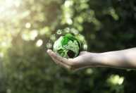 Selo Verde transforma boas práticas em reconhecimento global