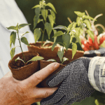 Tecnologia e sustentabilidade fortalecem Brasil como potência do agro