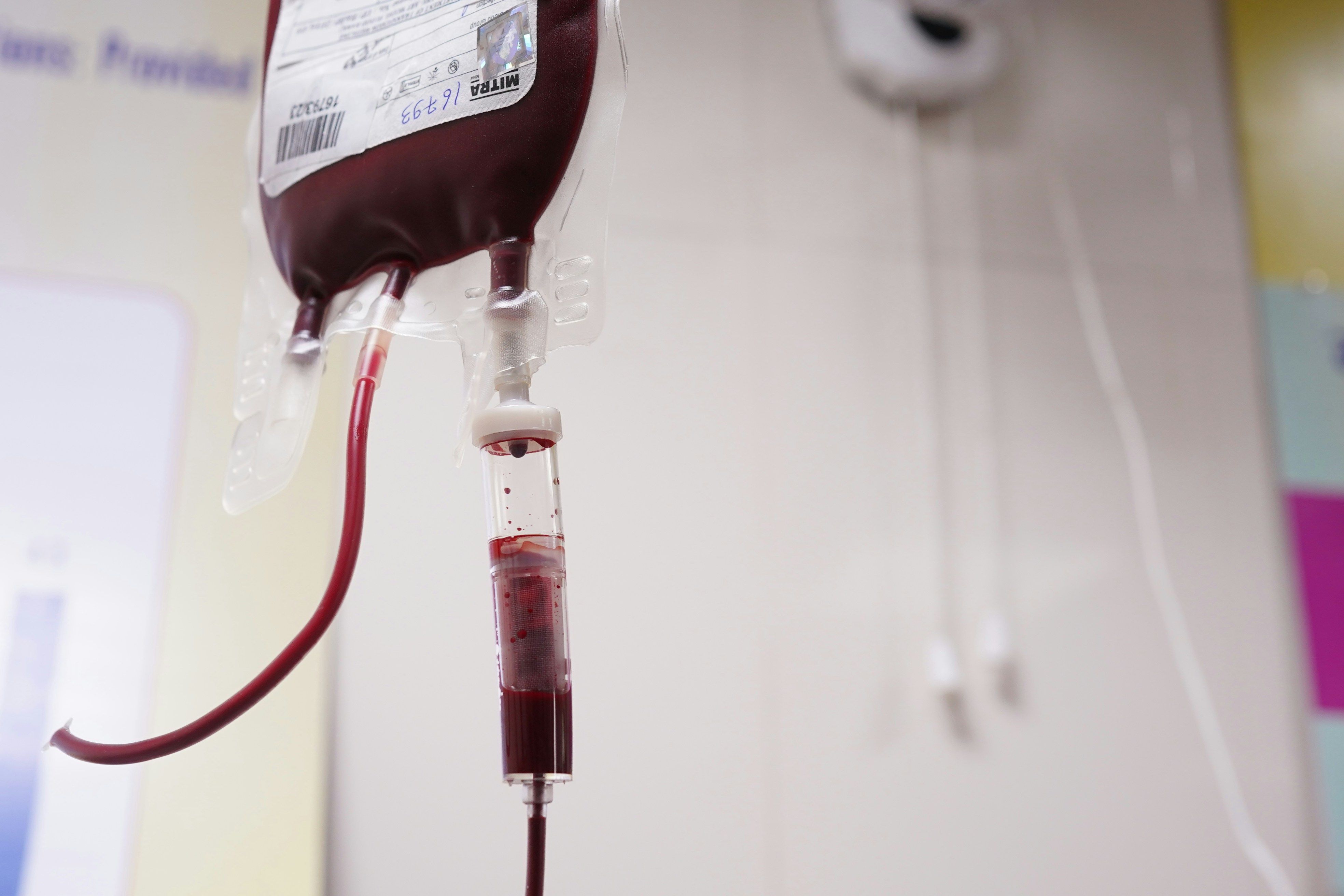 Com estoques baixos, Hospital da Baleia convoca doadores de sangue em BH