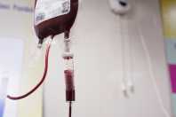 Com estoques baixos, Hospital da Baleia convoca doadores de sangue em BH