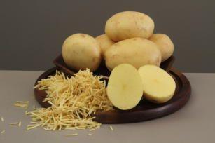 A batata BRS F21 (Braschips) foi criada especificamente para a indústria de frituras • Reprodução Embrapa
