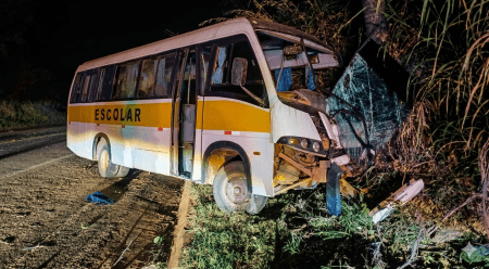 Com o impacto, o caminhão atravessou a pista e bateu em uma árvore