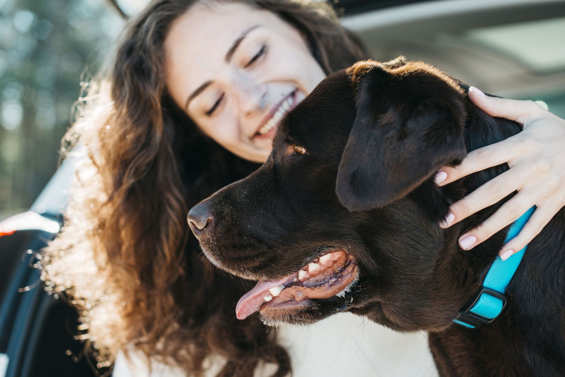 O que significa quando uma pessoa está sempre acariciando cachorros? Psicologia explica