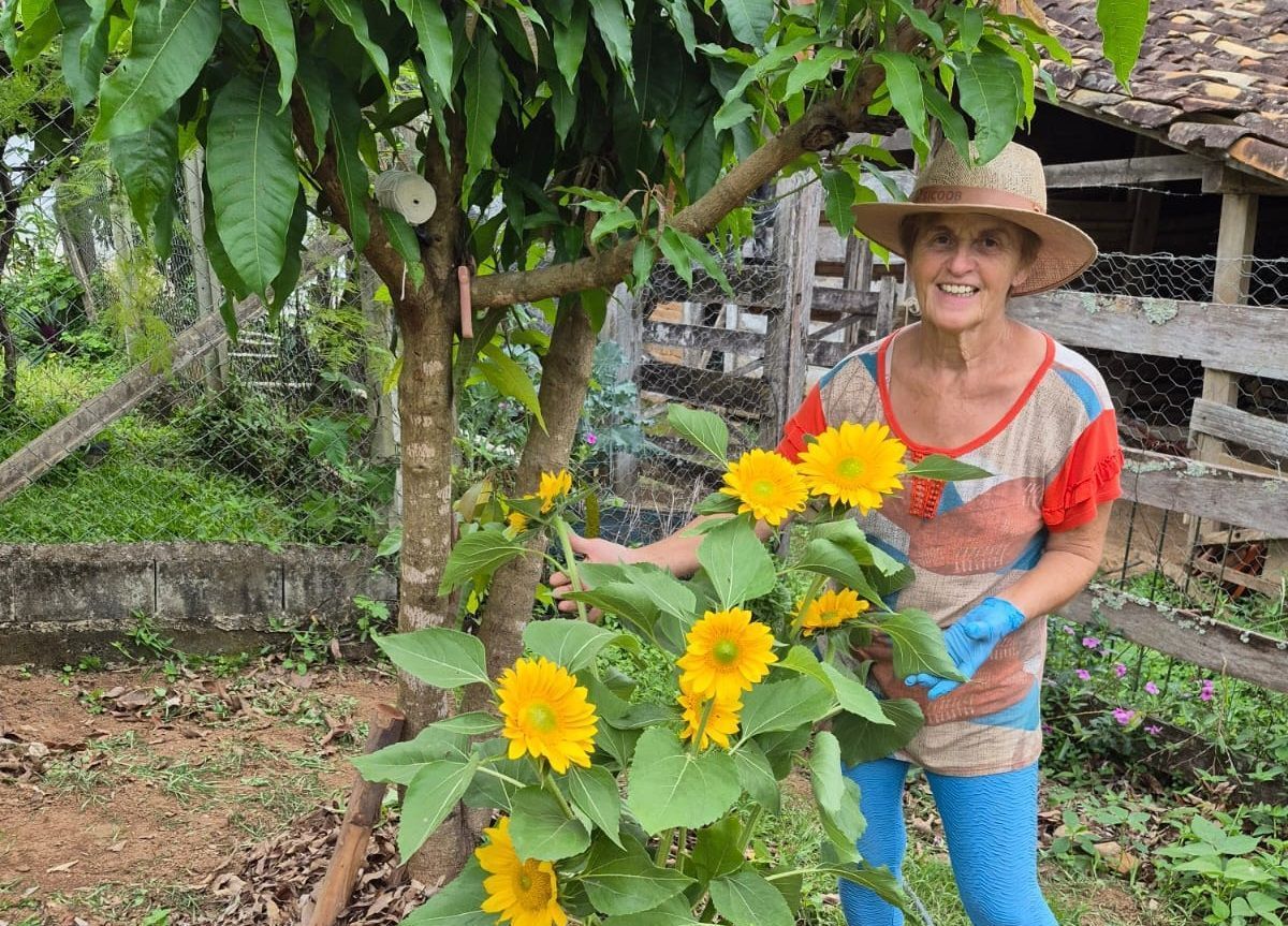 Flores ganham espaço e diversificam renda em lavouras de café em MG