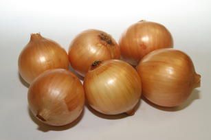 A cebola BRS Belatriz 239 destaca-se como um híbrido adaptado ao cultivo de verão • Reprodução Embrapa