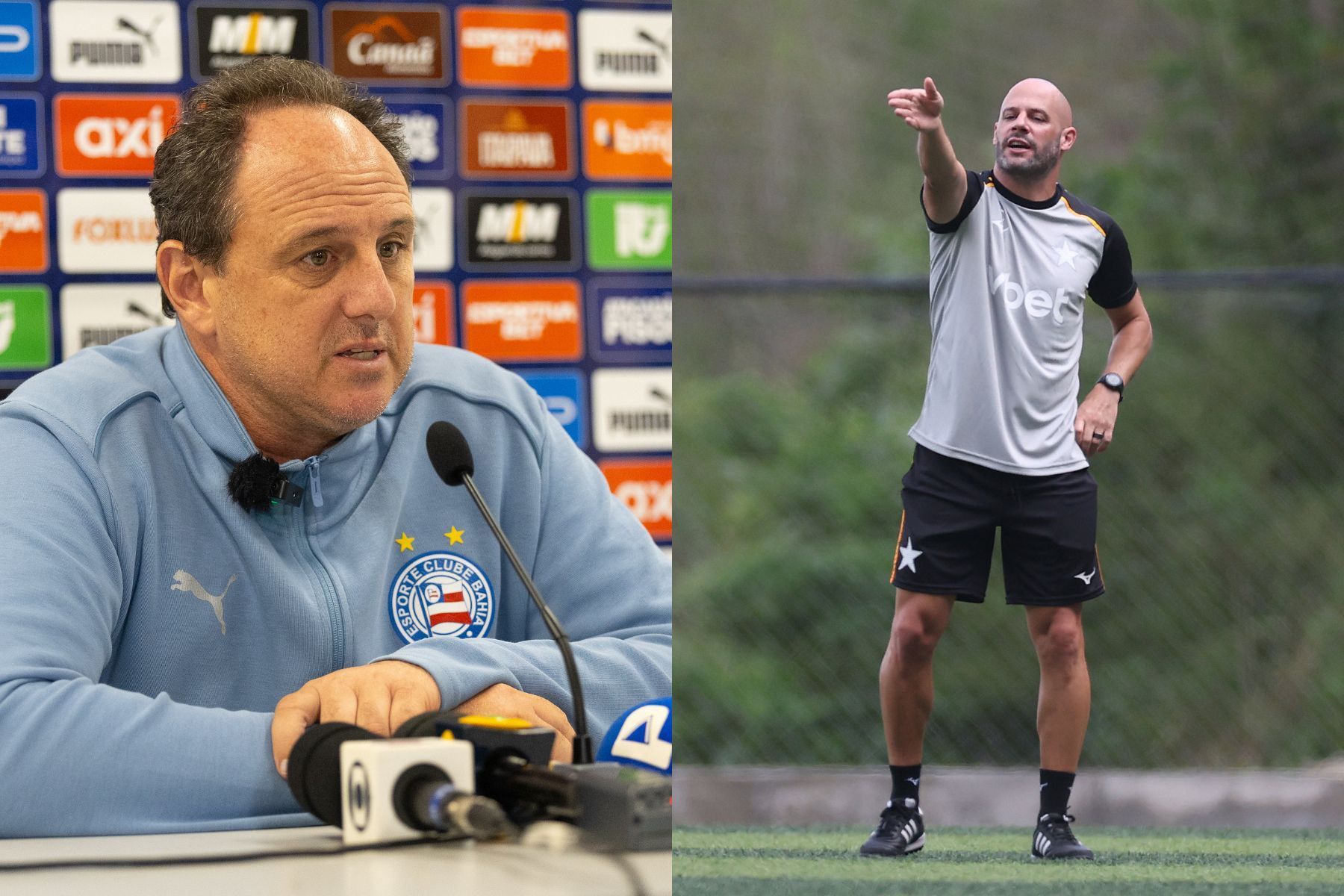 Bahia e Botafogo se enfrentam por uma Copa do Mundo tranquila
