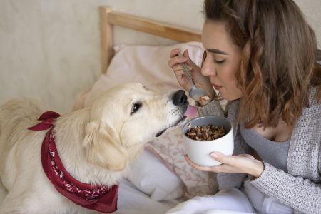 É necessário ter cuidado na hora de oferecer alimentos com temperos para os cães