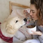Cachorro pode comer tempero? Saiba o que está liberado e o que evitar