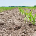 86% dos produtores rurais acreditam que as mudanças climáticas vão interferir na agricultura