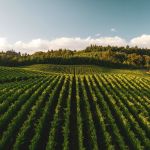Bioinsumos e controle biológico fortalecem agro contra mudanças climáticas