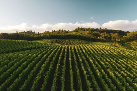 Bioinsumos e controle biológico fortalecem agro contra mudanças climáticas