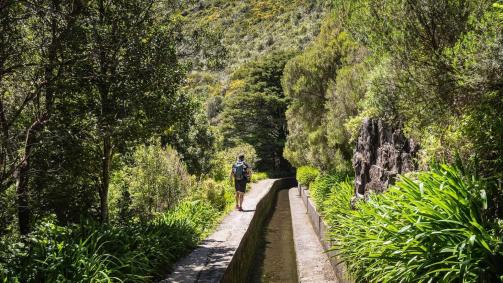 Ilha da Madeira, em Portugal