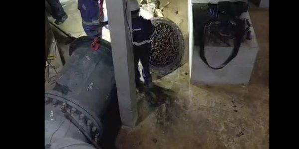 Égua morre ao cai em reservatório da Copasa