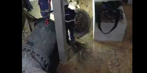 Égua morre ao cai em reservatório da Copasa