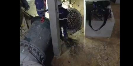 Égua morre ao cai em reservatório da Copasa
