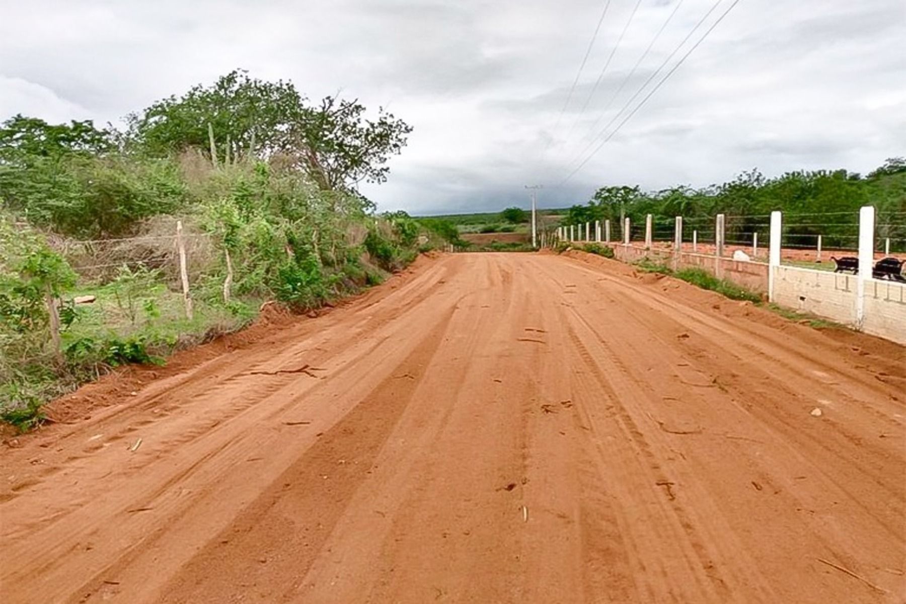 Setor privado amplia investimentos em estradas para fortalecer o agro mineiro