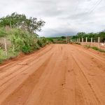 Setor privado amplia investimentos em estradas para fortalecer o agro mineiro