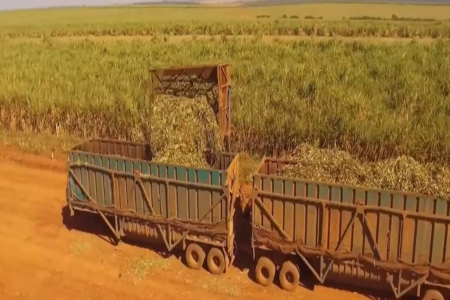 Produtores rurais enfrentam oscilações do câmbio, custos elevados e novas exigências para manter a competitividade no agro