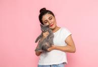 Quando o gato ronrona perto de você: o significado pode surpreender
