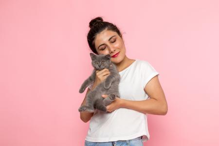 Acariciar gatos traz diversos benefícios para a saúde
