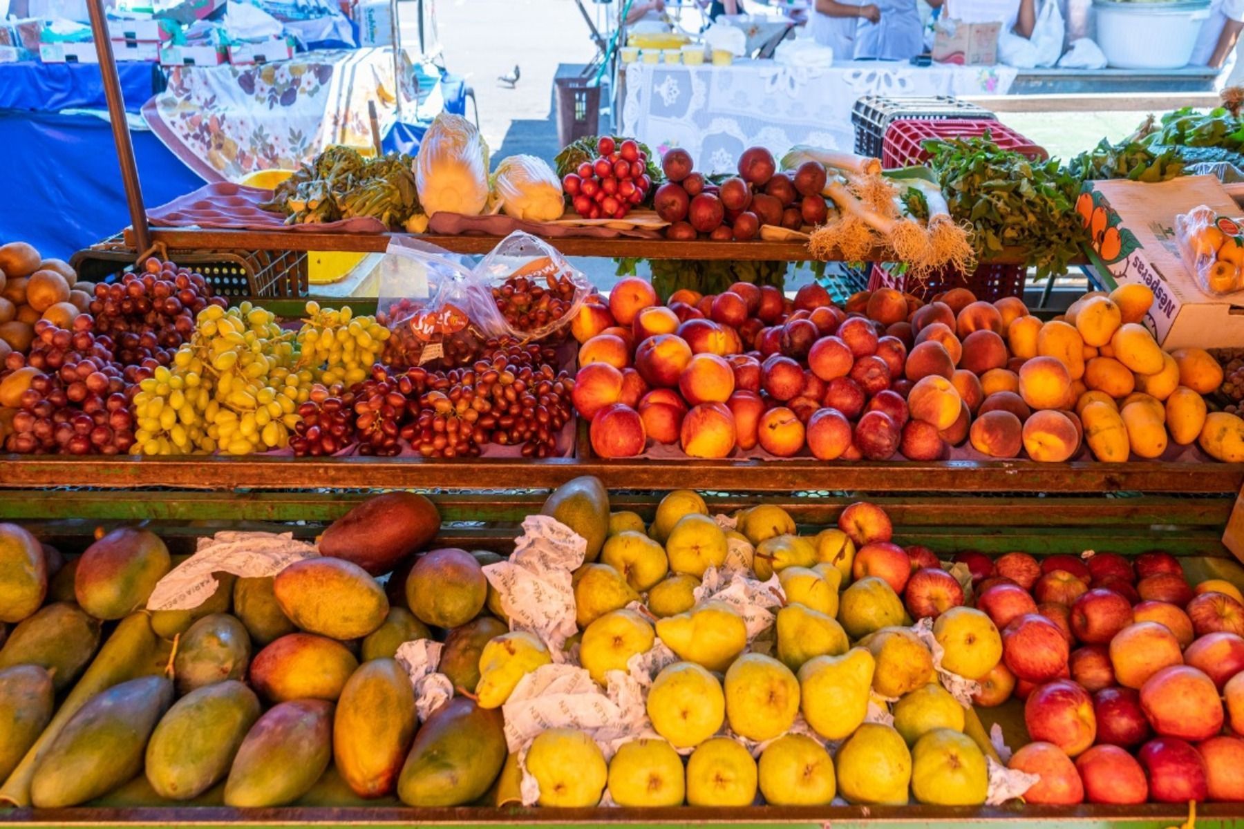 Exportações do setor hortigranjeiro elevam faturamento em 2026