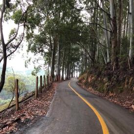 Monte Verde, em Minas Gerais