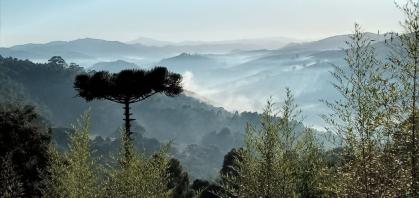 Monte Verde, em Minas Gerais