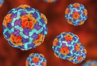Hepatite A: Juiz de Fora confirma óbito e concentra maioria dos casos de MG