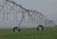 IA e monitoramento por satélite: tecnologia avança no agro
