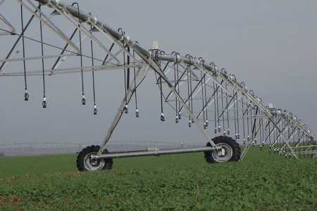 Tecnologia e IA revolucionam a realidade do Agro