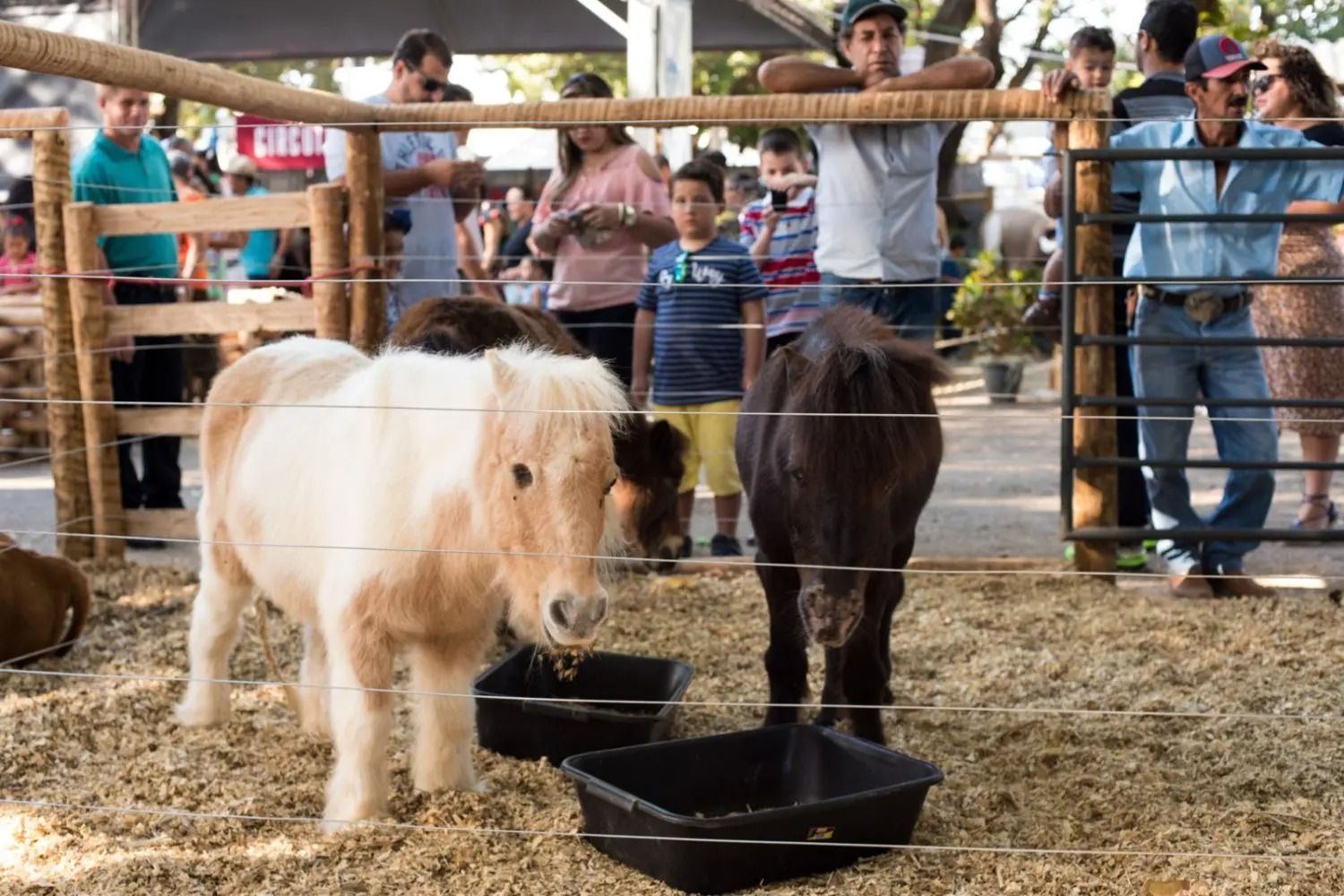 Minifazenda da Expomontes 2026 abre inscrições para visitas escolares em Montes Claros