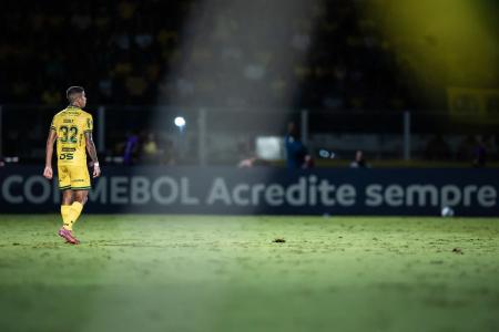 Mirassol disputa a Libertadores pela primeira vez na história • Divulgação/Mirassol