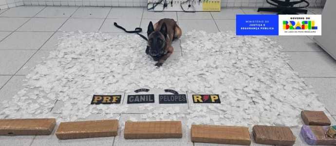 Operação nacional focou na apreensão de drogas e armas